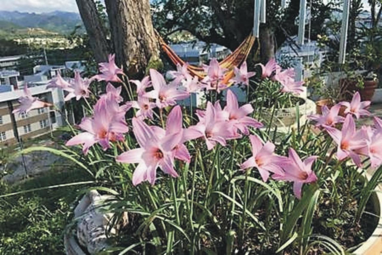 Villa Vassallo Ponce Eksteriør billede